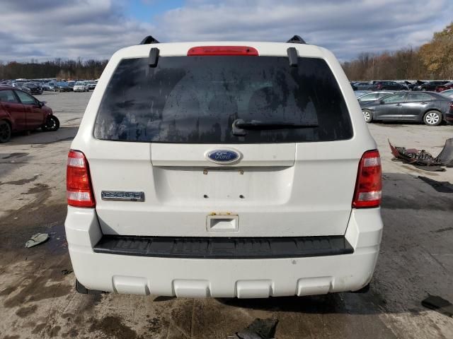 2010 Ford Escape XLT