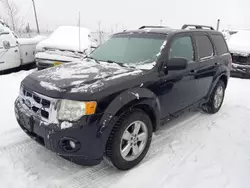 Vehiculos salvage en venta de Copart Anchorage, AK: 2011 Ford Escape XLT