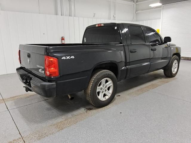 2010 Dodge Dakota SXT