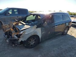 Salvage cars for sale at Houston, TX auction: 2013 Honda Odyssey EXL