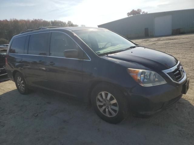 2008 Honda Odyssey EXL