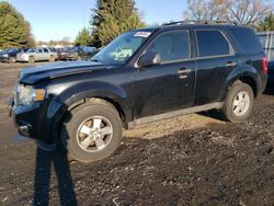 Salvage cars for sale from Copart Finksburg, MD: 2012 Ford Escape XLT