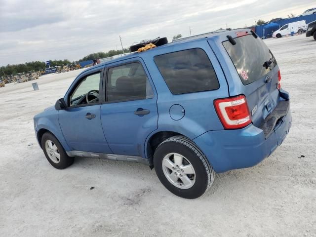 2010 Ford Escape XLS