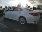 2013 Lexus ES 300H