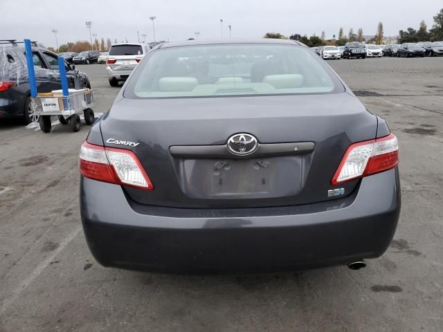 2009 Toyota Camry Hybrid