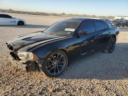 2014 Dodge Charger R/T en venta en San Antonio, TX