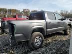 2023 Toyota Tacoma Double Cab