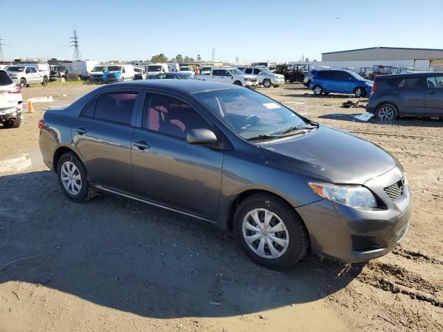 2010 Toyota Corolla Base