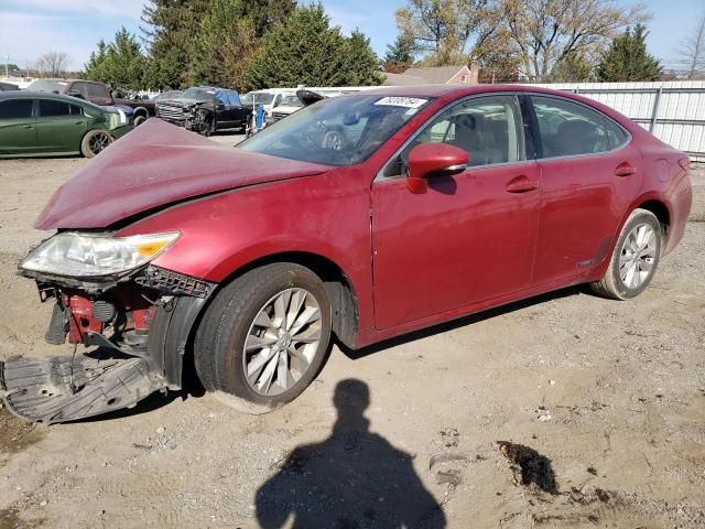 2014 Lexus ES 300H