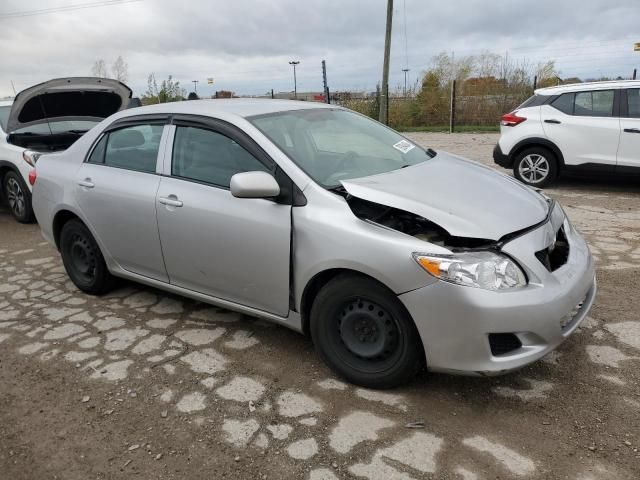 2010 Toyota Corolla Base