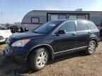 2008 Honda CR-V EX