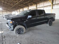 Salvage cars for sale at Phoenix, AZ auction: 2024 Chevrolet Silverado K1500 Trail Boss Custom