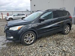 Salvage cars for sale at Appleton, WI auction: 2014 Ford Escape SE