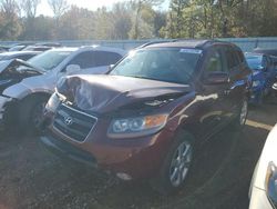 Salvage cars for sale at Conway, AR auction: 2007 Hyundai Santa FE SE