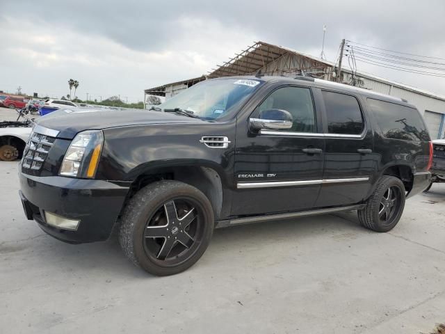 2011 Cadillac Escalade ESV Premium