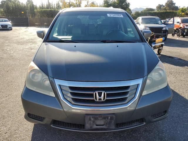 2008 Honda Odyssey EXL