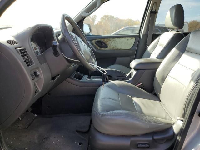 2005 Ford Escape XLT