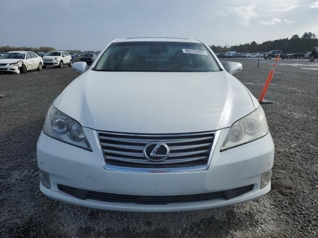 2010 Lexus ES 350