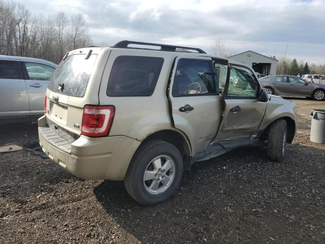 2010 Ford Escape XLT