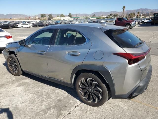 2020 Lexus UX 250H