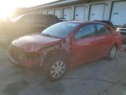 Salvage cars for sale at Louisville, KY auction: 2011 Toyota Corolla Base