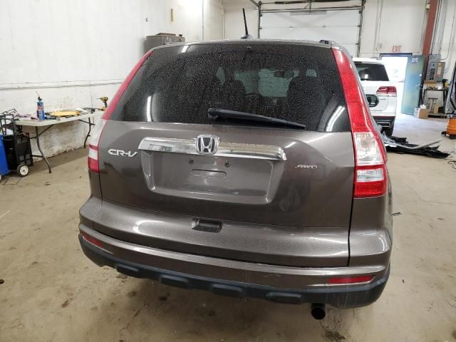 2010 Honda CR-V EXL