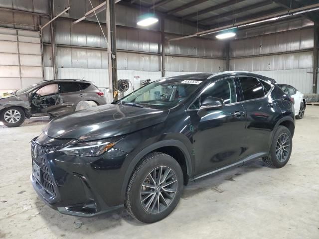 2023 Lexus NX 350