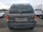 2005 Ford Escape XLT