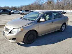 Toyota Vehiculos salvage en venta: 2010 Toyota Corolla Base