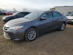 2015 Toyota Camry Hybrid en venta en Rocky View County, AB