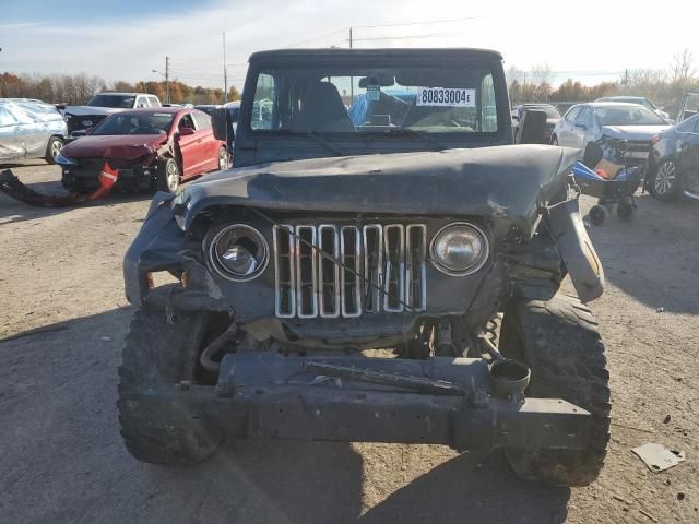 2002 Jeep Wrangler / TJ SE