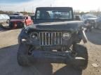 2002 Jeep Wrangler / TJ SE