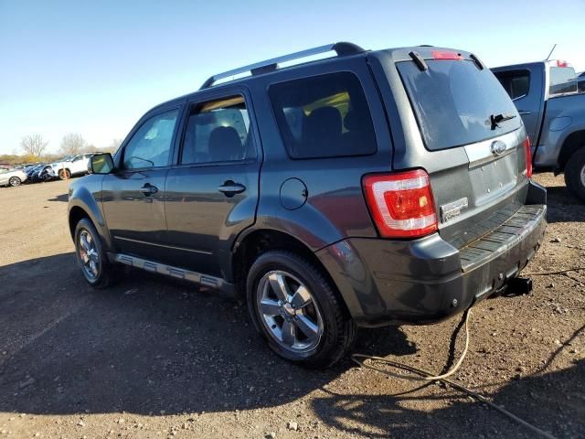 2009 Ford Escape Limited