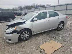 Toyota salvage cars for sale: 2009 Toyota Corolla Base