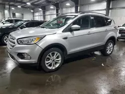 Salvage cars for sale at Ham Lake, MN auction: 2017 Ford Escape SE