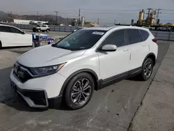 Salvage cars for sale at Sun Valley, CA auction: 2021 Honda CR-V EX