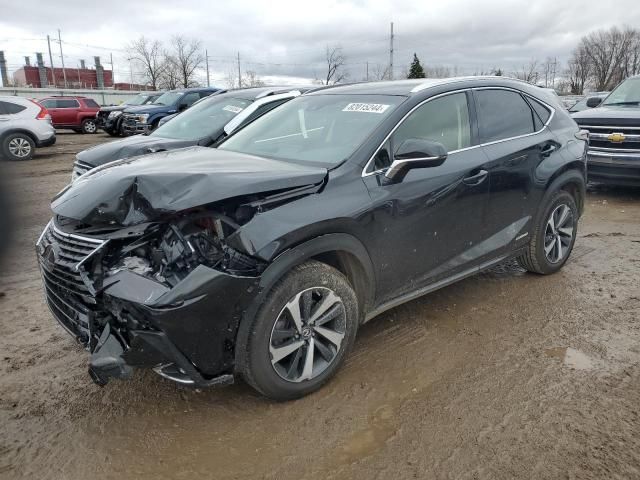 2019 Lexus NX 300H