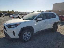 Salvage cars for sale at Mentone, CA auction: 2019 Toyota Rav4 LE