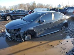 Salvage cars for sale at auction: 2023 Toyota Corolla SE