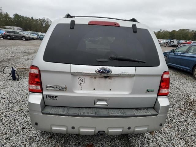 2011 Ford Escape Limited