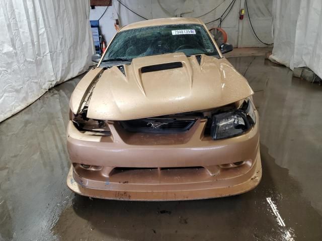 2000 Ford Mustang