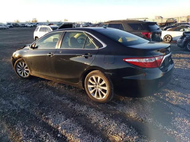 2015 Toyota Camry Hybrid