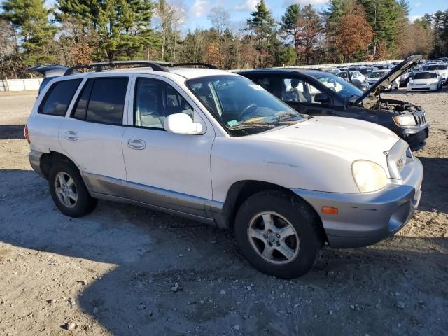 2004 Hyundai Santa FE GLS