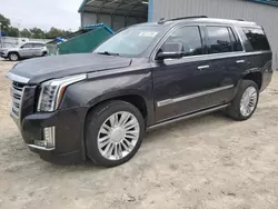 2016 Cadillac Escalade Platinum en venta en Midway, FL