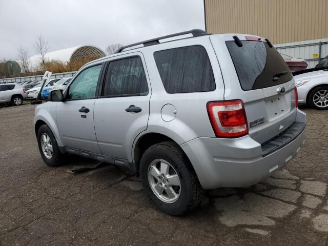 2011 Ford Escape XLT