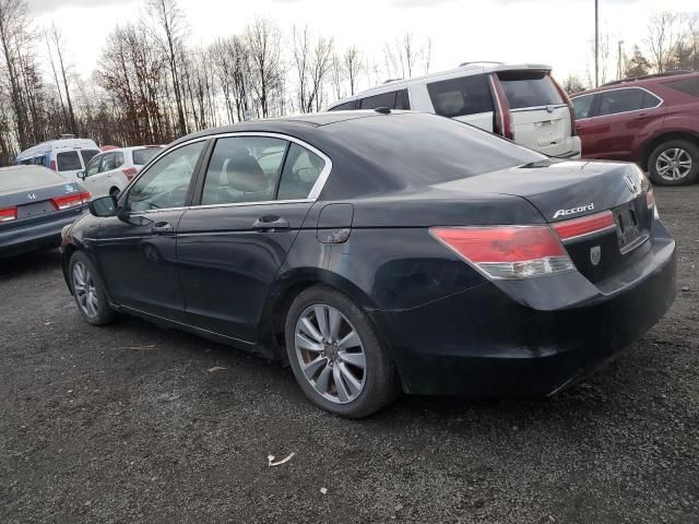 2011 Honda Accord EXL