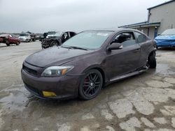 Scion salvage cars for sale: 2008 Scion 2008 Toyota Scion TC