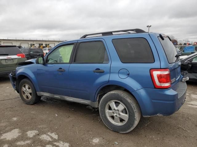 2009 Ford Escape XLT