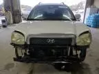 2004 Hyundai Santa FE GLS