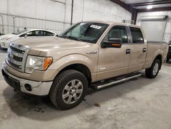 Salvage cars for sale at Avon, MN auction: 2013 Ford F150 Supercrew